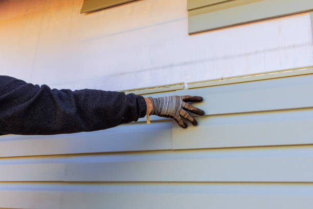 Best Vinyl Siding Installation  in Moon Lake, FL